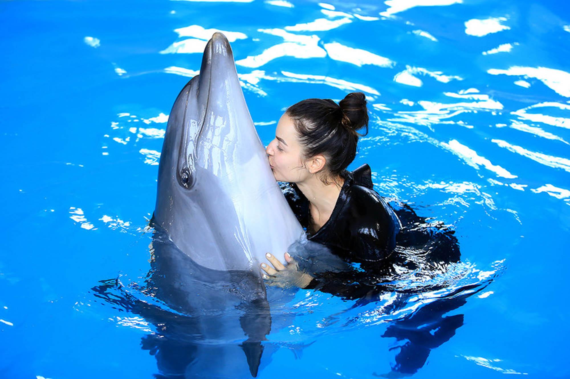 Купаться с дельфинами